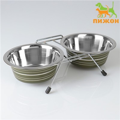 Набор из 2 цветных мисок на подставке, 2×450 мл