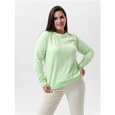 Свитшот 52310 (Светло-зеленый)