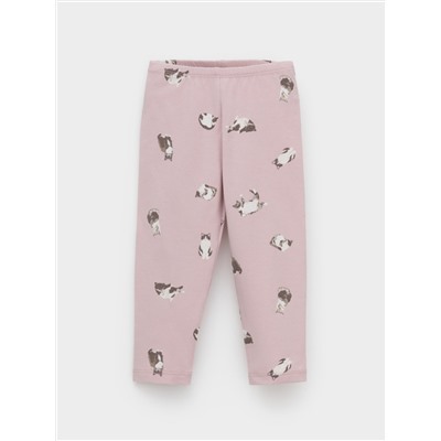 CROCKID Лосины КР 4321