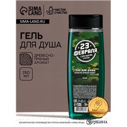 Гель для душа «С 23 Февраля!», 250 мл, аромат древесно-пряный, Чистое счастье