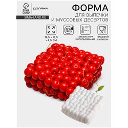 Форма для муссовых десертов и выпечки Доляна «Вишня», силикон, 18.5×4.5 см, белая