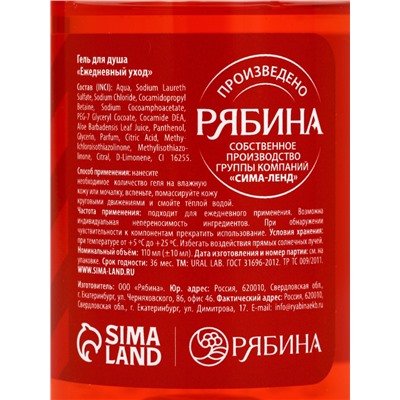 Новогодний подарочный набор косметики «Тепла и уюта»: гель для душа 110 мл и крем для рук 30 мл, URAL LAB