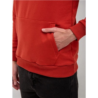 Худи мужское футер петля, Арт. 1037