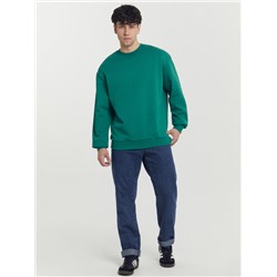 СВИТШОТ МУЖСКОЙ 121801/1