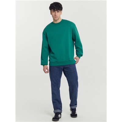 СВИТШОТ МУЖСКОЙ 121801/1