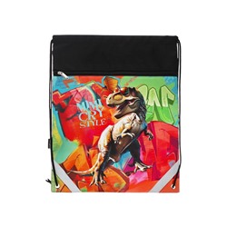 Мешок для обуви ErichKrause на шнурке, с рисунком, размер 49×0.5×41 см, чёрный/красный