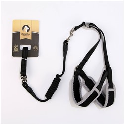 Комплект мягкая шлейка, поводок 120×1 см с вертлюгом, S, ОШ 26-67 см, ОГ 26-67 см, чёрный