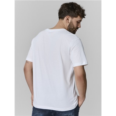 ФУТБОЛКА МУЖСКАЯ 111930