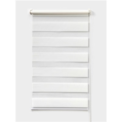 Штора рулонная 50×160 см «День и Ночь», по полотну 46×160 см, белая