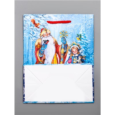 Пакет подарочный новогодний ламинированный, «Дед Мороз и Снегурочка», 18×10×22.3 см