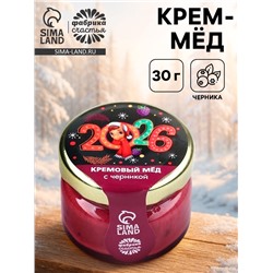 Крем-мёд «2026», вкус: черника, 30 г