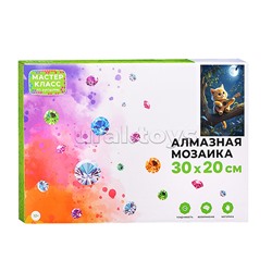 Мозаика алмазная "Котик с гитарой" 20*30см.