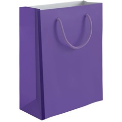 Пакет бумажный 11,4х14,3х6,4 см фиолетовый 1114-GLOS-RNB3 Academy style