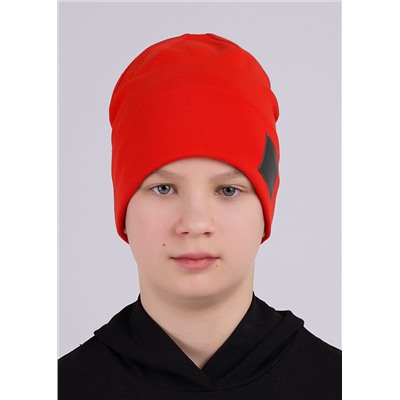 CLEVER Шапка