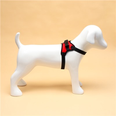 Шлейка К7 мягкая светоотражающая, размер S, ОГ 44-55 см, вес 5-9 кг, красная