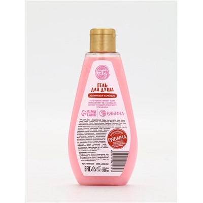 Подарочный набор новогодний «Чудес в Новом году»: гель для душа 200 мл и бомбочки для ванны 4 шт.×40 г, URAL LAB