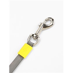 Рулетка - поводок для собак, лента 3 метра, зелёная