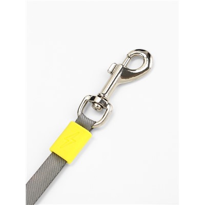 Рулетка - поводок для собак, лента 3 метра, зелёная