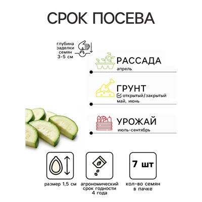 Семена Кабачок «Зебра», 7 шт., ранний, «Агрос»