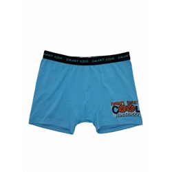 Трусы для мальчика Berrak