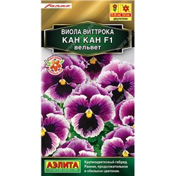 1365A Виола Кан Кан F1 вельвет 7 шт