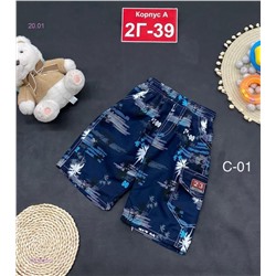 шорты 2053629-2