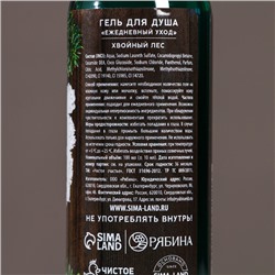 Подарочный набор новогодний мужской «Богатства и успеха», гель для душа 100 мл и мочалка для тела, Чистое счастье