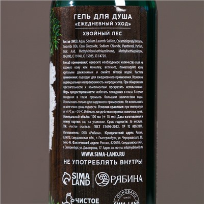 Подарочный набор новогодний «Богатства и успеха», гель для душа 100 мл и мочалка для тела, Чистое счастье