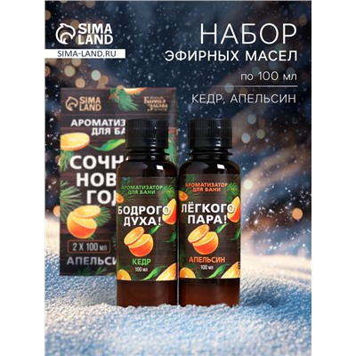 Новогодний набор ароматизаторов «Сочного Нового Года», в подарочной коробке, апельсин, кедр, 2 шт. по 100 мл
