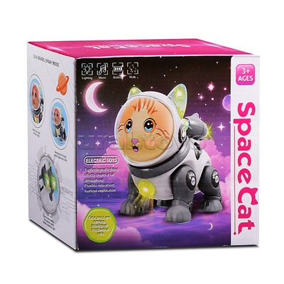 Кот "Электрокосмический кот" в коробке