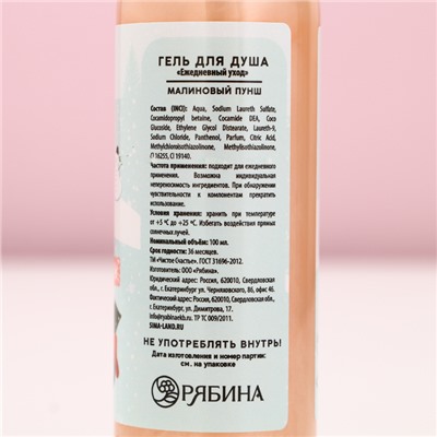 Подарочный набор новогодний «Уютной зимы», гель для душа, пена для ванны, 2×100 мл, Чистое счастье