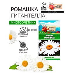 Семена Ромашка «Гигантелла», 0.01 г, «Рецепты дедушки Никиты»
