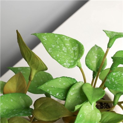 Искусственный цветок в горшке «Сингониум элит» (мягкий лист), двойной, 12×14 см