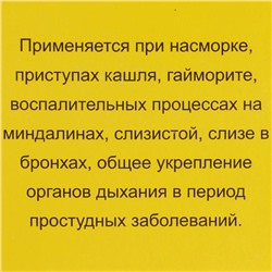 Мазь монастырская «Бизорюк. Свободное дыхание», 28 мл
