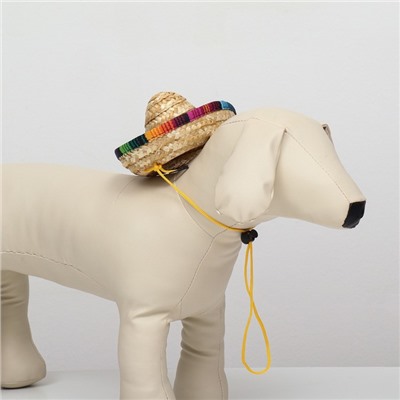 Шляпа для животных, размер S, 16×8×7 см