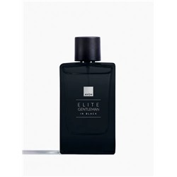 Туалетная вода для мужчин Elite Gentleman in Black, 90 мл