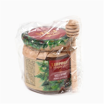 Мёд с мумиё «Здоровье в каждой ложке», новогодний подарок