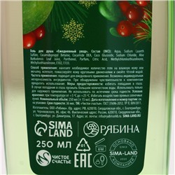Подарочный набор новогодний «С праздником», гель для душа 250 мл и мочалка для тела, Чистое счастье