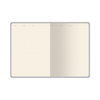 Ежедневник недатированный А5+ 240 стр. "Гранат" 3-744/02 Bruno Visconti