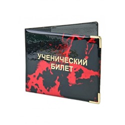 Обложка для удостоверения #22595980