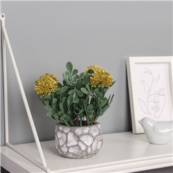 Искусственный цветок в горшке «Ваточник галант», 8×16 см, МИКС