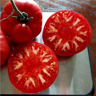 7112Т Томат Загорско воловье око 10шт