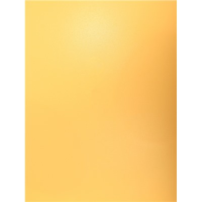 Миска для животных «БЕГЕМОТ», 300 мл, покрытие Soft-touch, пластик банановый