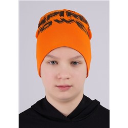 452606 CLEVER Шапка