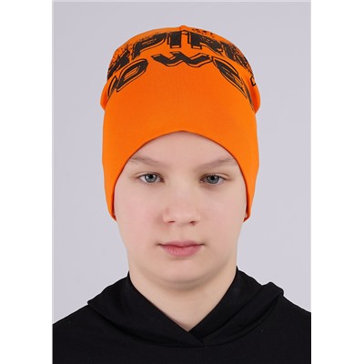 452606 CLEVER Шапка