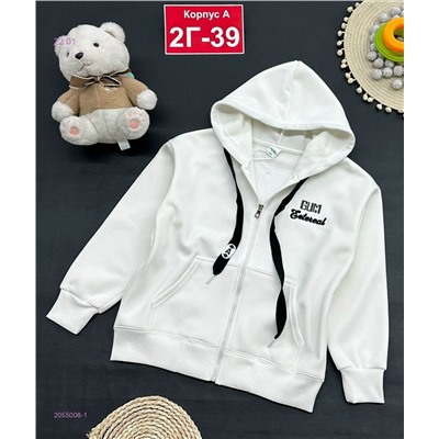 кофта с начесом 2055008-1