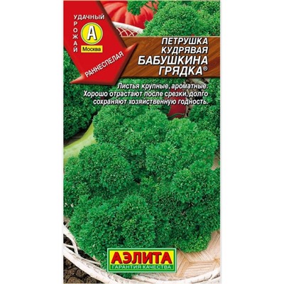 Петрушка кудряв.Бабушкина Грядка