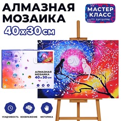 Мозаика алмазная "Инь и Янь" 30*40см.