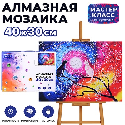 Мозаика алмазная "Инь и Янь" 30*40см.
