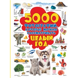 АСТ Долманская Л.В. "5000 фотографий, которые можно рассматривать целый год"